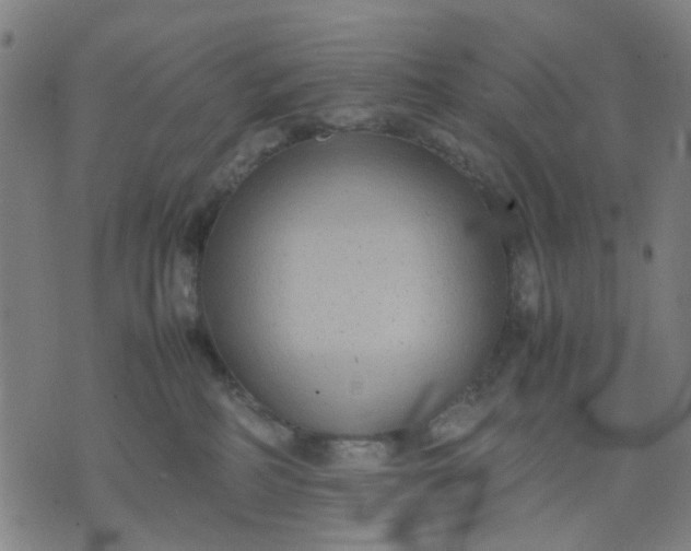 X0000074230234200609081629