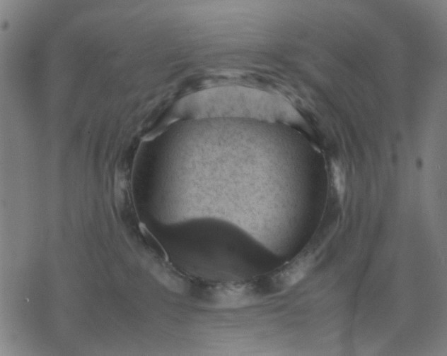 X0000074230235200609081629