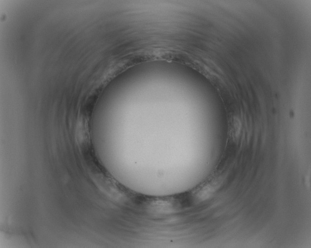 X0000074230236200609081629