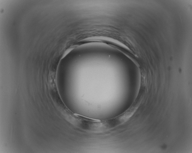 X0000074230237200609081629