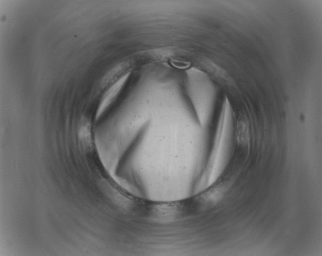 X0000074230238200609081629