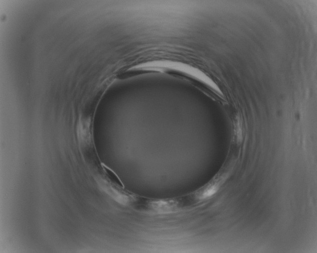 X0000074230239200609081629