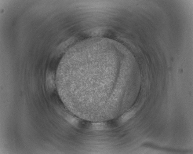 X0000074230240200609081629