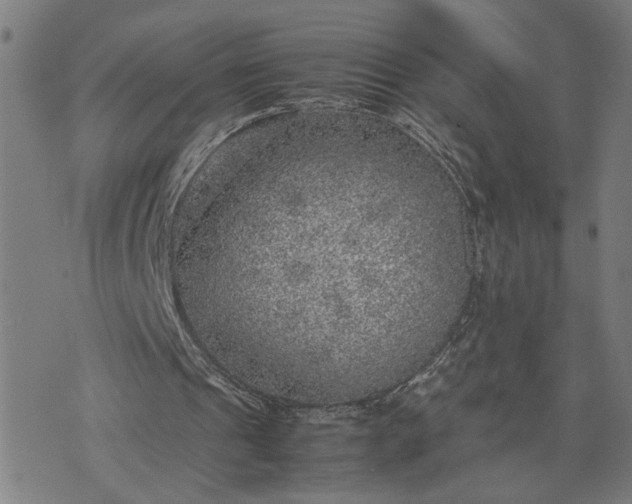 X0000074230241200609081628