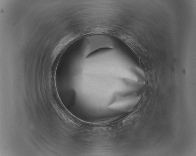 X0000074230242200609081628