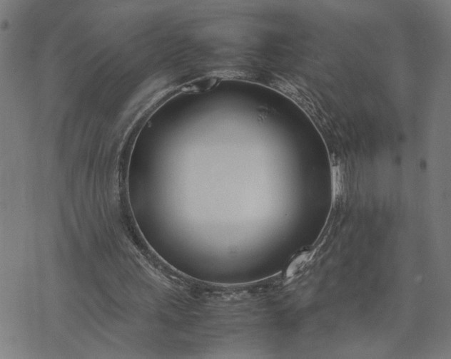 X0000074230243200609081628