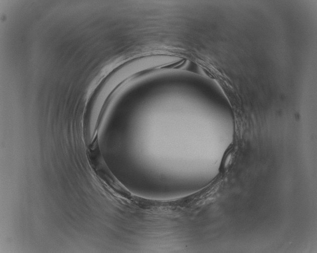 X0000074230244200609081628