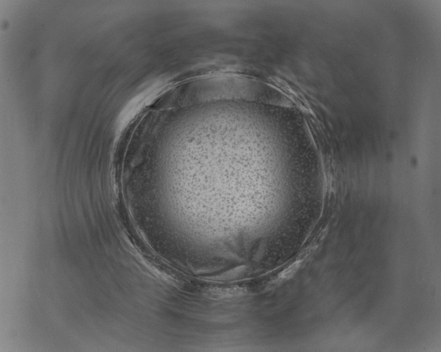 X0000074230245200609081628