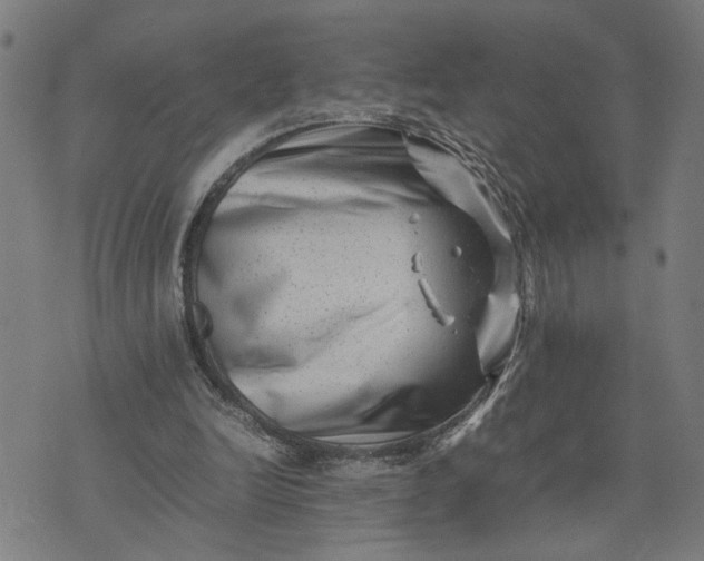 X0000074230246200609081628