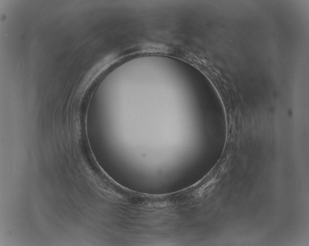 X0000074230247200609081628