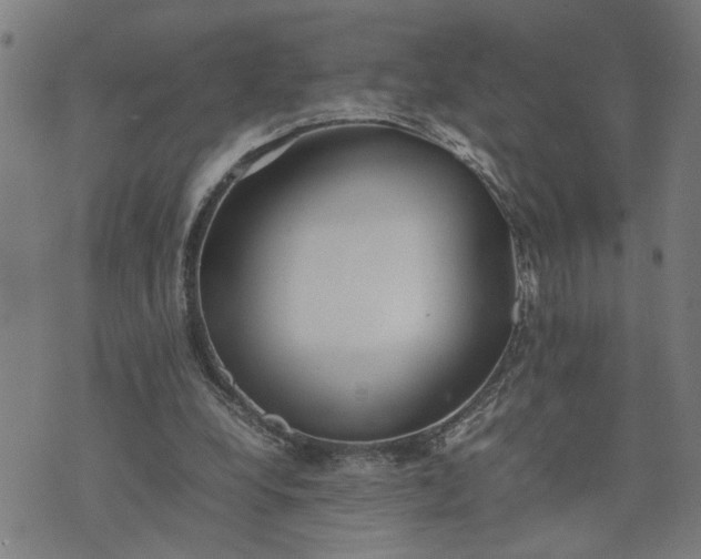 X0000074230248200609081628