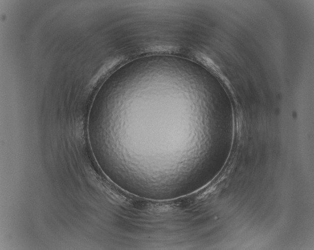 X0000074230249200609081628