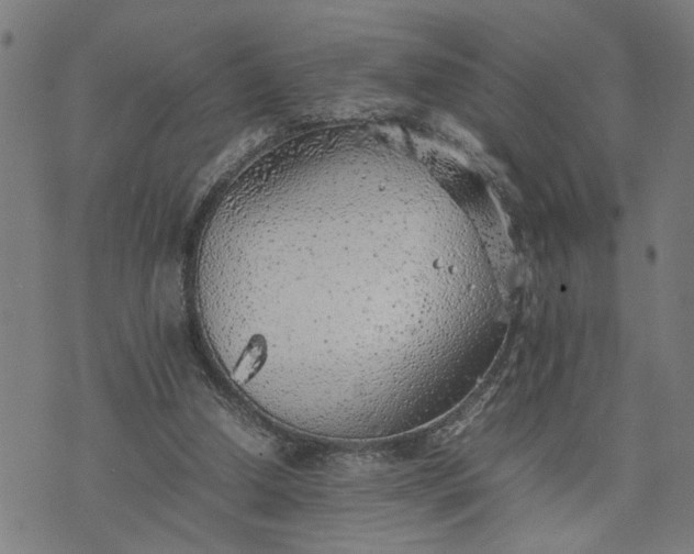 X0000074230250200609081628