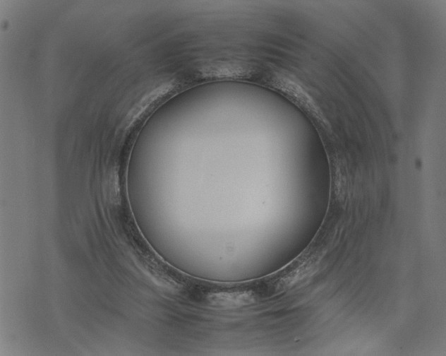 X0000074230251200609081628