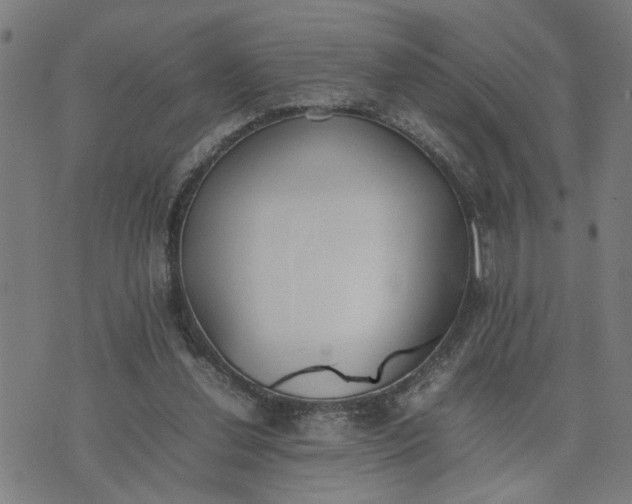 X0000074230252200609081628