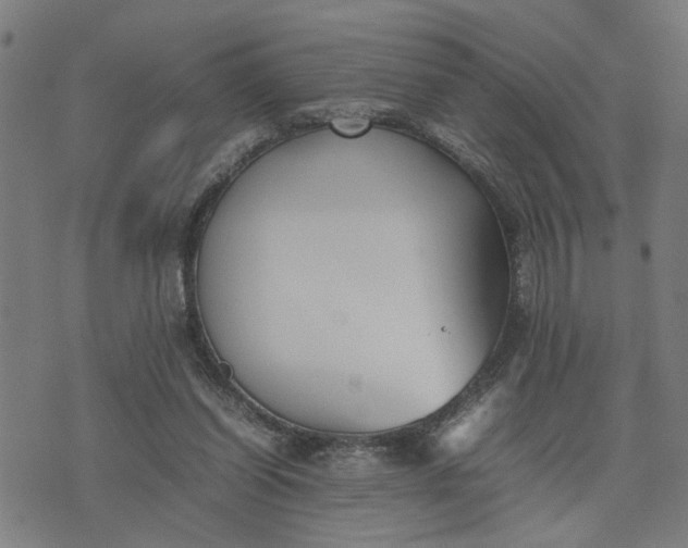 X0000074230254200609081628