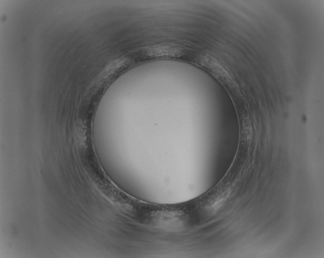 X0000074230255200609081628