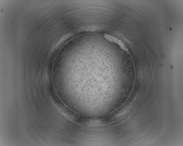 X0000074230256200609081628