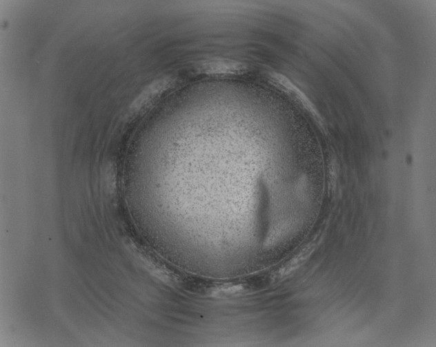 X0000074230257200609081628