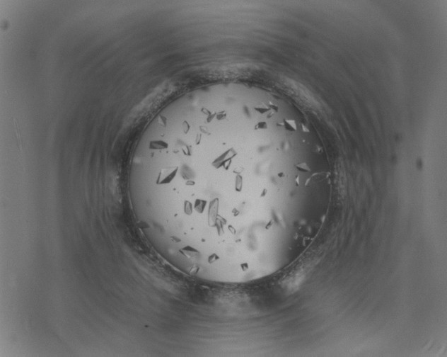 X0000074230258200609081628