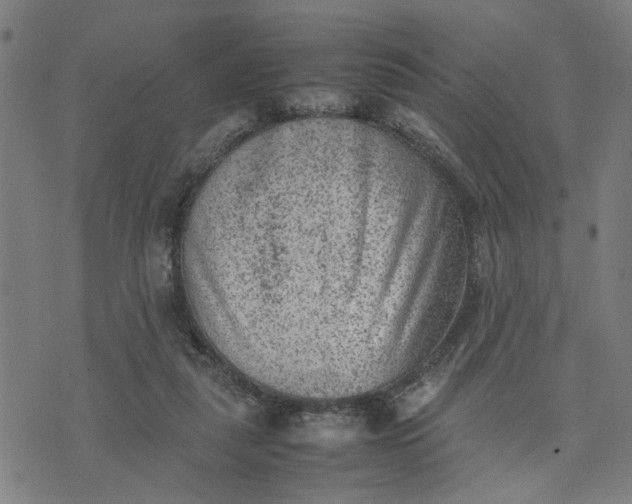 X0000074230259200609081628