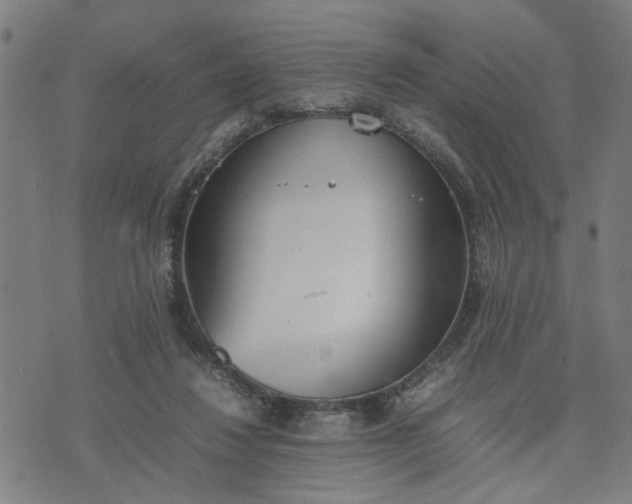 X0000074230260200609081628