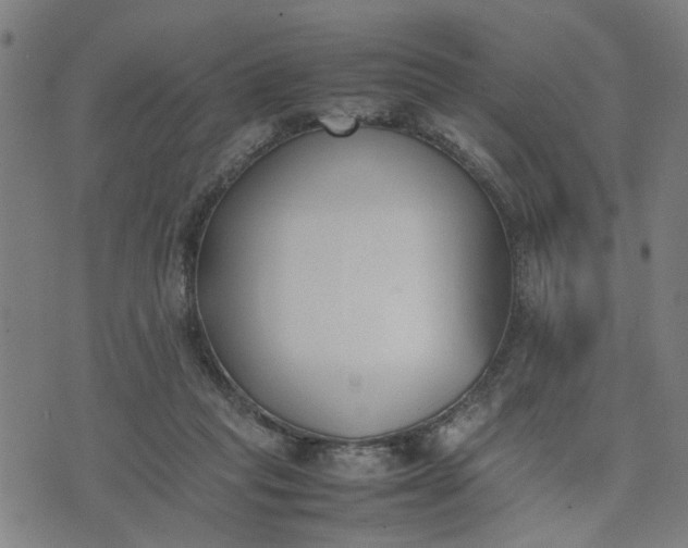 X0000074230261200609081628