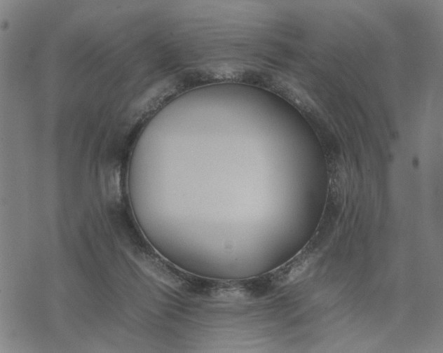 X0000074230262200609081628