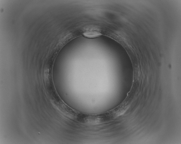 X0000074230263200609081628