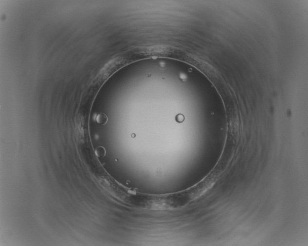 X0000074230264200609081628