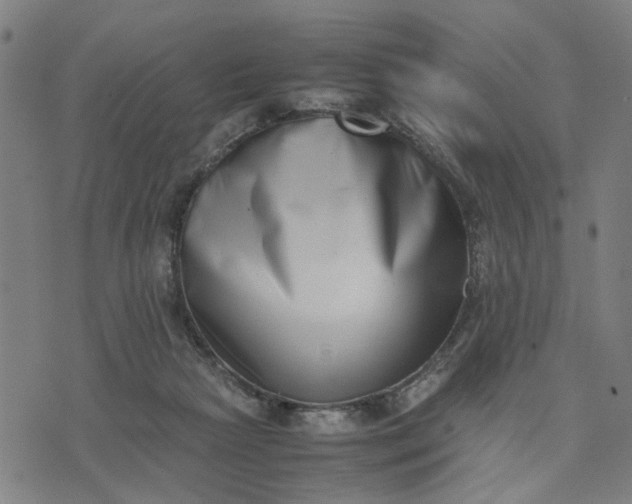 X0000074230265200609081628