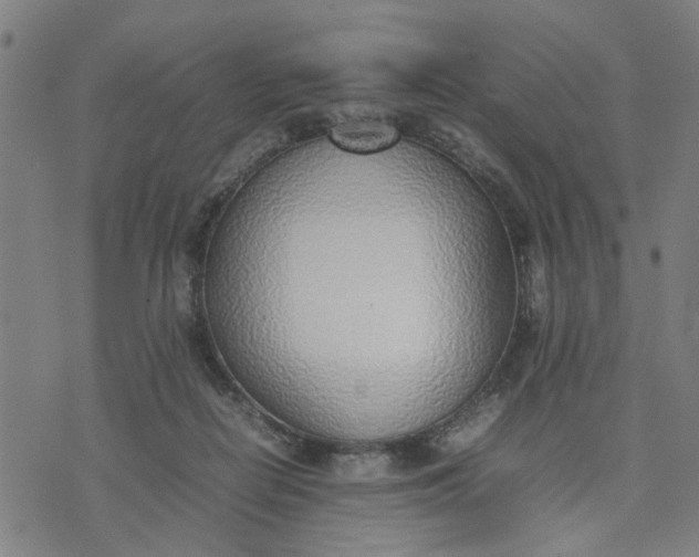 X0000074230266200609081628