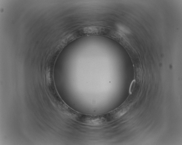 X0000074230267200609081628