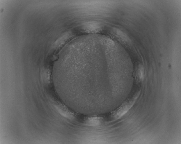 X0000074230268200609081628