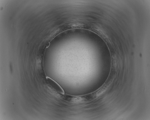 X0000074230269200609081628