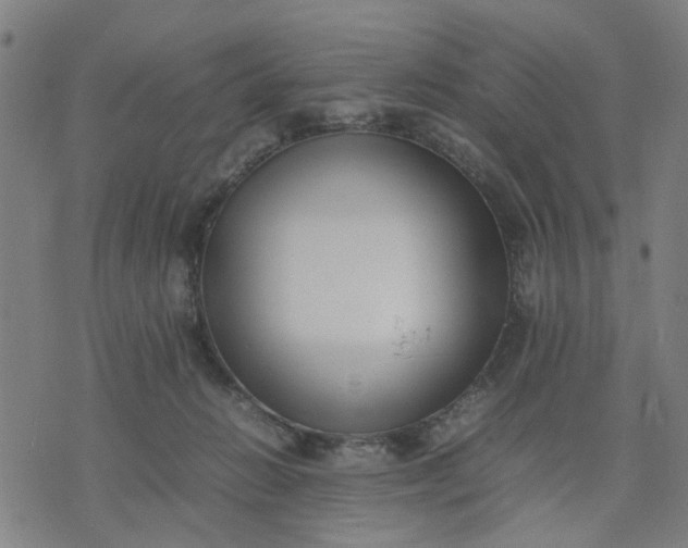 X0000074230270200609081628