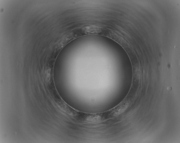 X0000074230271200609081628