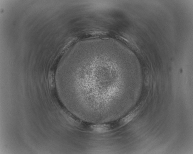 X0000074230273200609081628