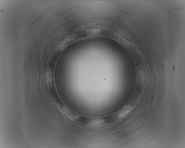 X0000074230274200609081628