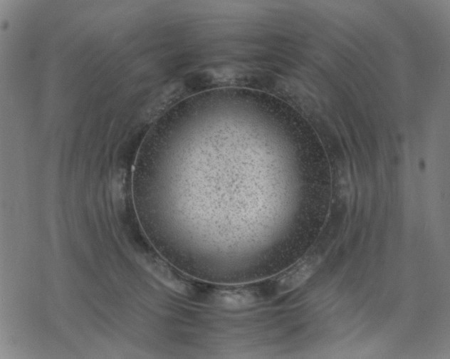 X0000074230275200609081629