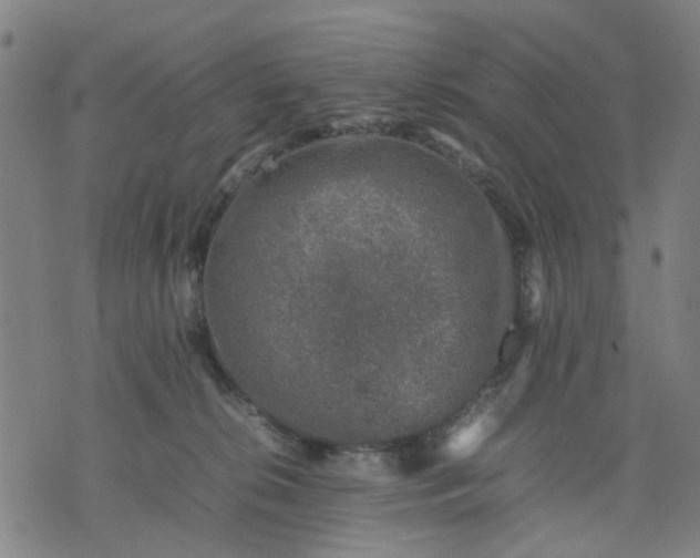 X0000074230276200609081629