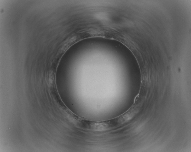 X0000074230277200609081629