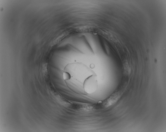 X0000074230278200609081629