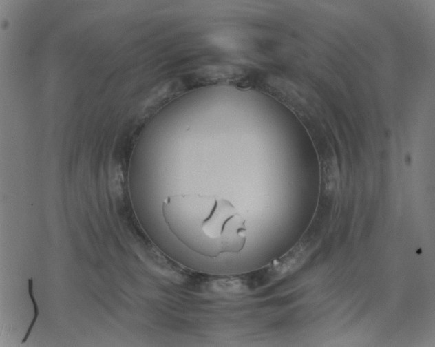 X0000074230279200609081629