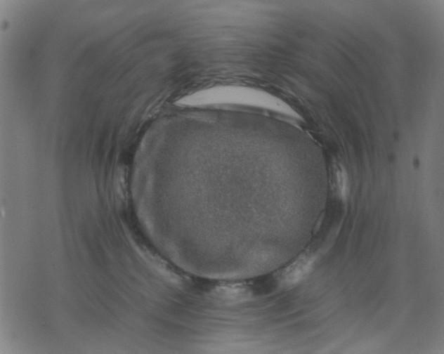 X0000074230280200609081629