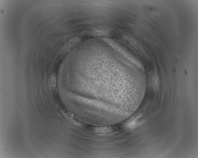 X0000074230281200609081629