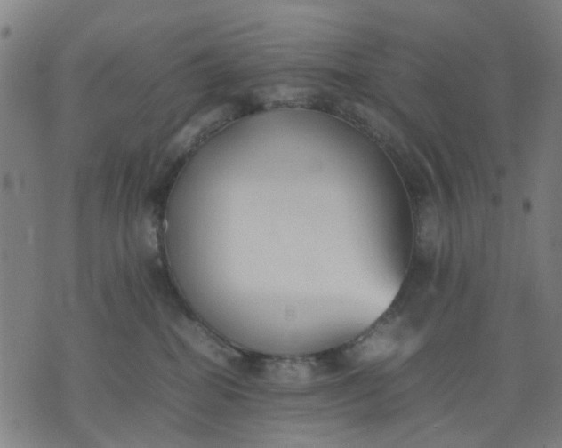 X0000074230282200609081629