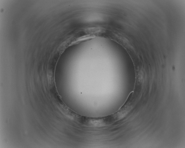 X0000074230283200609081629