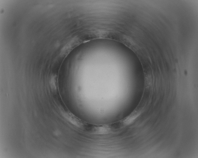 X0000074230286200609081629