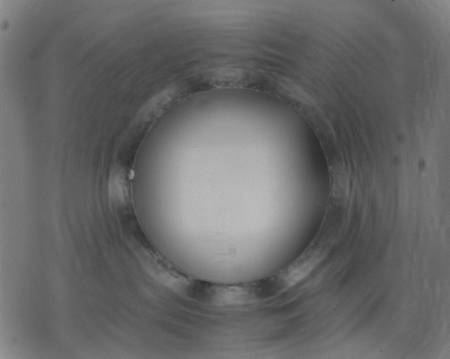 X0000074230287200609081629